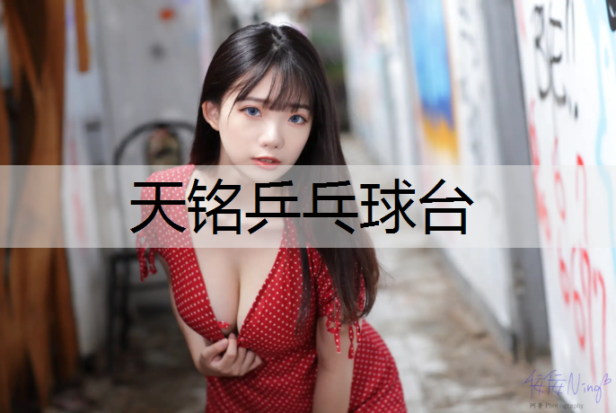 天铭乒乓球台