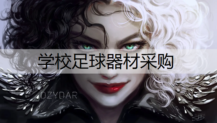 学校足球器材采购